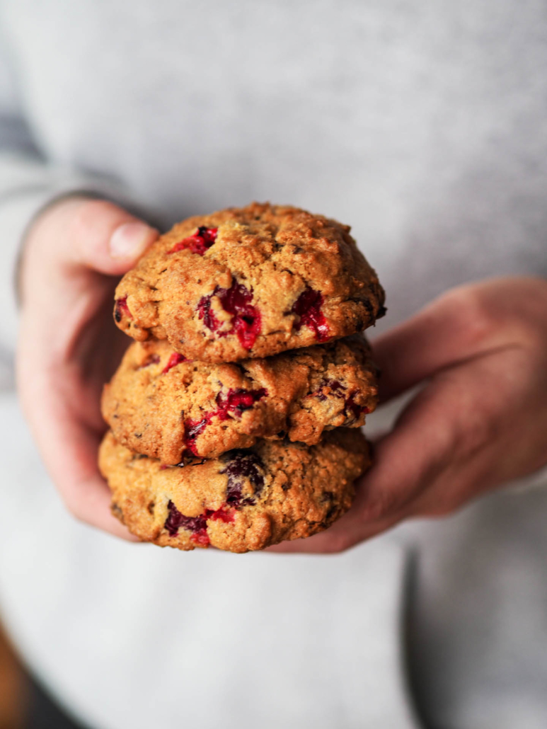 kids love cookies with cranberries and chocolate